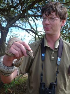 Trends and themes in African Ornithology 
