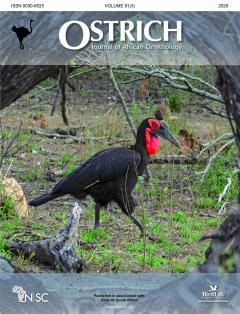Celebration: 90 Years of Ostrich 